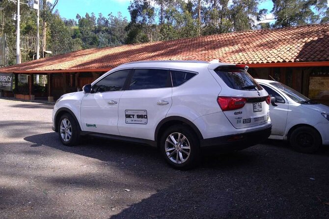 Private Arrival or Departure Transfer: Simon Bolivar Airport (One Way) - Service Highlights