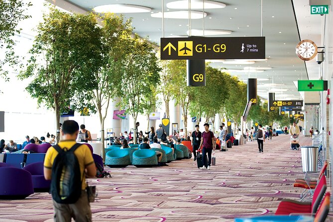 Private Arrival Transfer From Singapore Airport or Port to Hotel - Booking and Confirmation