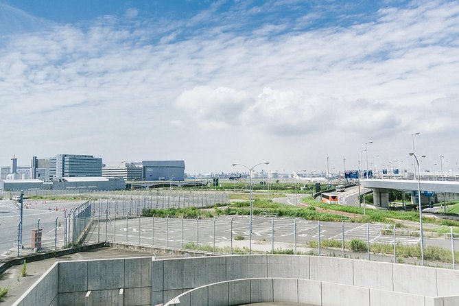 Private Arrival Transfer : Haneda International Airport to Tokyo Disney - Inclusions and Pickup Information