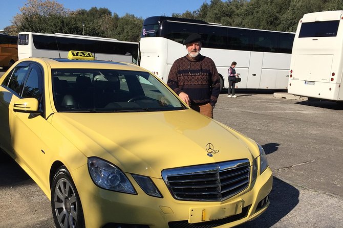 Private Arrival Transfer: Piraeus Cruise Port to Central Athens - Willingness to Use the Service Again