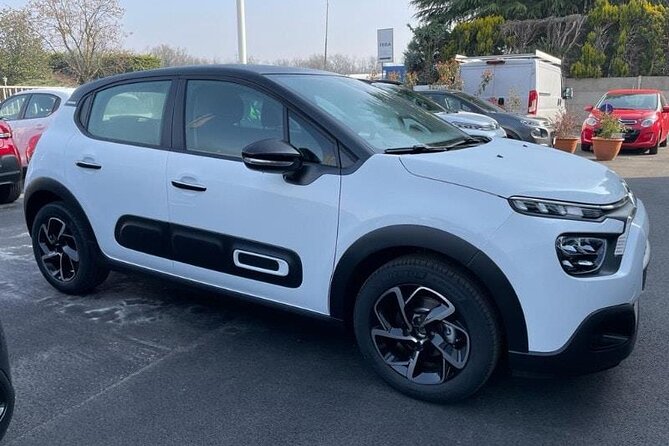 Private Arrival Transfer: Rome Fiumicino Airport to Hotel - Service Description