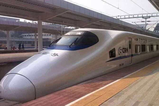 Private Arrival Transfer:Any Chongqing Railway Station to Hotel - Good To Know