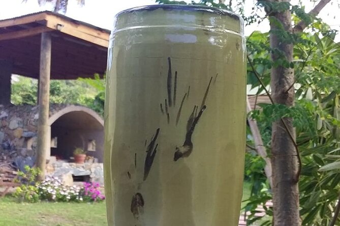 Private Art & Culture Tour in Tortola Virgin Islands - Local Ceramics Artist Encounter