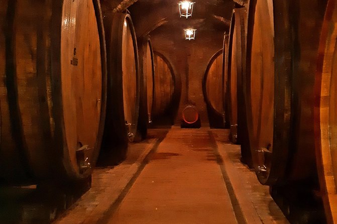 Private Art & Wine Tour in Cortona & Montepulciano, With Lunch & 2 Wine Tastings - Lunch at Historical Cellar
