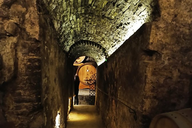Private Art & Wine Tour in Cortona & Montepulciano, With Lunch & 2 Wine Tastings - Inclusions and Amenities