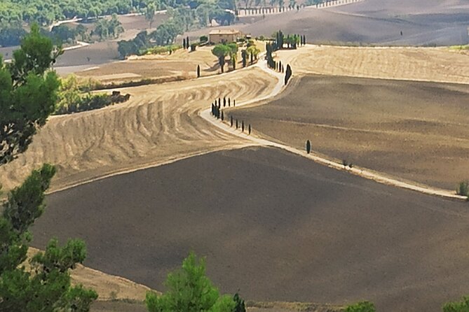 Private Art & Wine Tour in Cortona & Montepulciano, With Lunch & 2 Wine Tastings - Tour Highlights