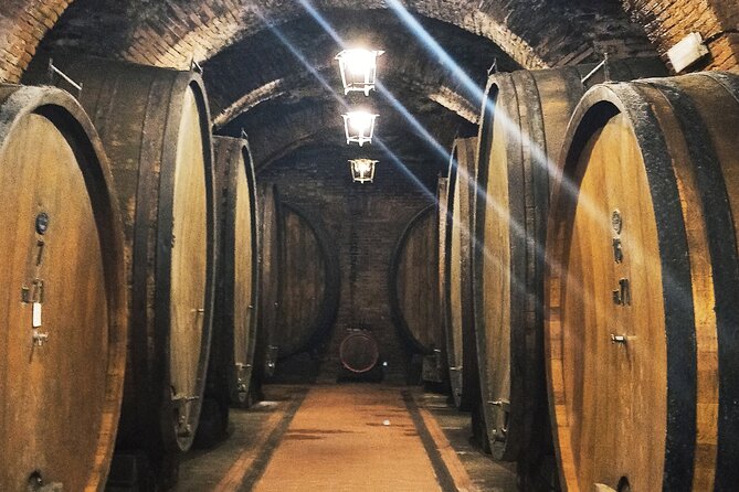 Private Art & Wine Tour in Cortona & Montepulciano, With Lunch & 2 Wine Tastings - Inclusions