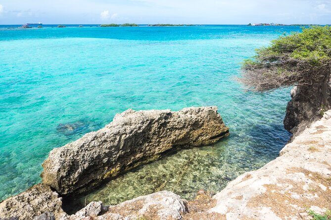 Private Aruba Beach Hop and Snorkel Experience - A Detailed Look at the Aruba Beach Hop and Snorkel Tour