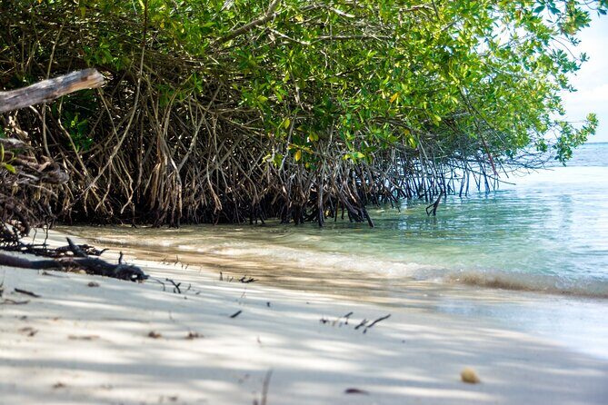 Private Aruba Beach Hop and Snorkel Experience - Final Thoughts