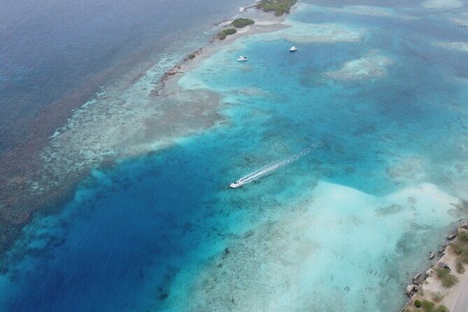 Private Aruba Kayak & Snorkeling Tour + Transortation - Authentic Insights from Reviews