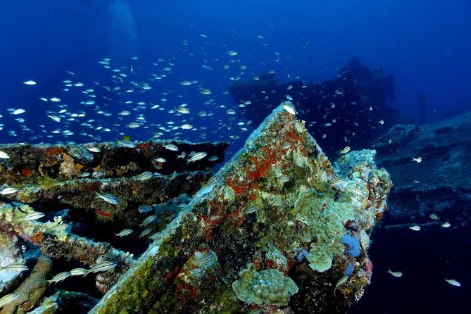 Private Aruba Snorkeling Trip - Good To Know