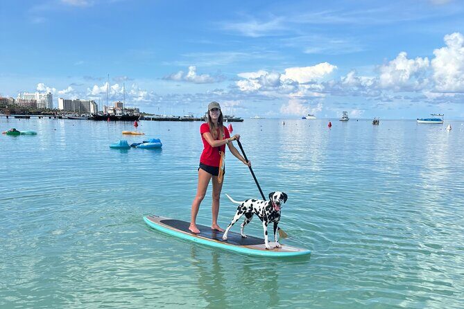 Private Aruba Stand Up Paddleboard Experience - Good To Know