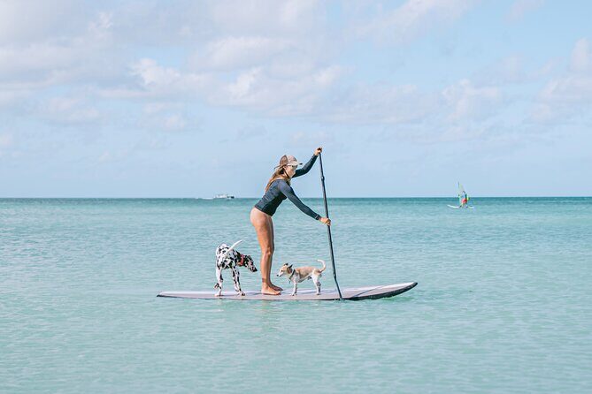 Private Aruba Stand Up Paddleboard Experience - Why You Should Consider This SUP Tour in Aruba