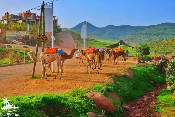 Private Atlas Mountains Day Trip - Good To Know