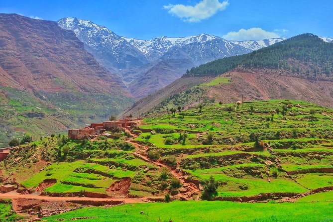 Private Atlas Mountains Day Trip - Trip Highlights