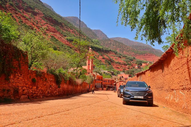 Private Atlas Mountains Day Trip - Private Tour Experience