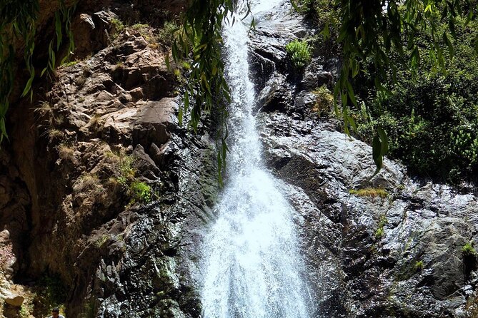 Private Atlas Mountains Day Trip From Marrakech - Pricing Breakdown