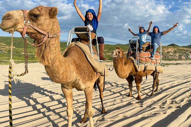 Private ATV and Camel Ride on a White Sand Beach - An Authentic Adventure on Migrino Beach: ATV and Camel Ride Review