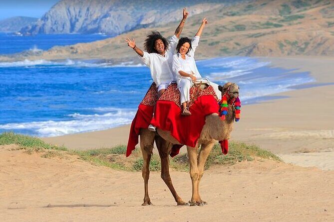 Private ATV and Camel Ride on a White Sand Beach - Exploring the Details of the Tour