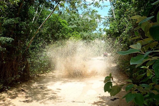 Private ATV Jungle Explorer Tour - The Sum Up