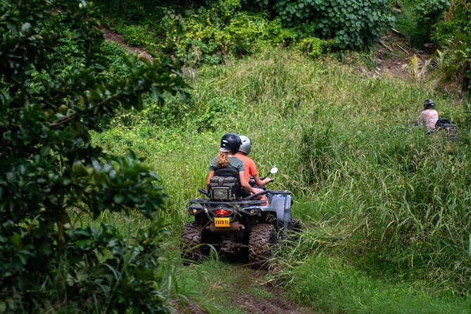 Private ATV or Quad Adventure in Bora Bora - Practical Details and Tips
