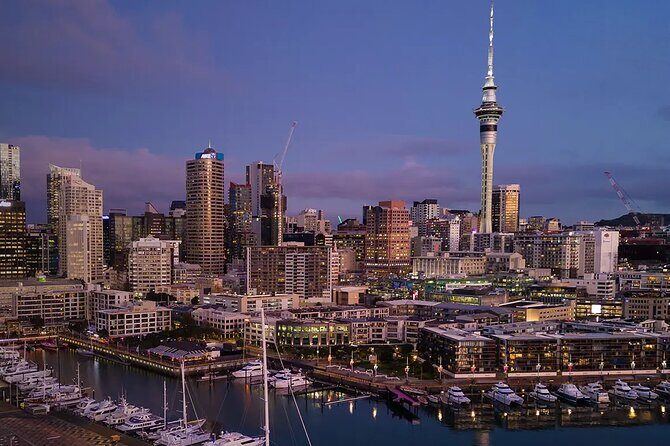 Private Auckland Airport Transfer to, from Auckland Hotels SUV - Final Thoughts: Is This Transfer Right for You?
