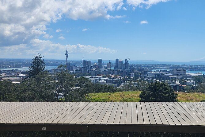 Private Auckland Best Top 5 Spots Half day Tour - Good To Know
