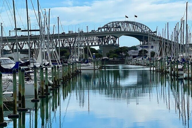 Private Auckland Best Top 5 Spots Half day Tour - Who Will Love This Tour?