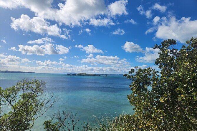 Private Auckland Best Top 5 Spots Half day Tour - The Sum Up