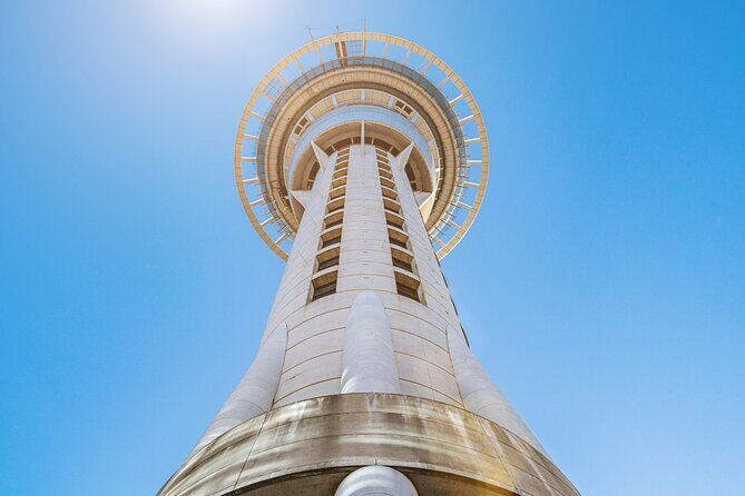 Private Auckland City Highlights Tour - Final Thoughts