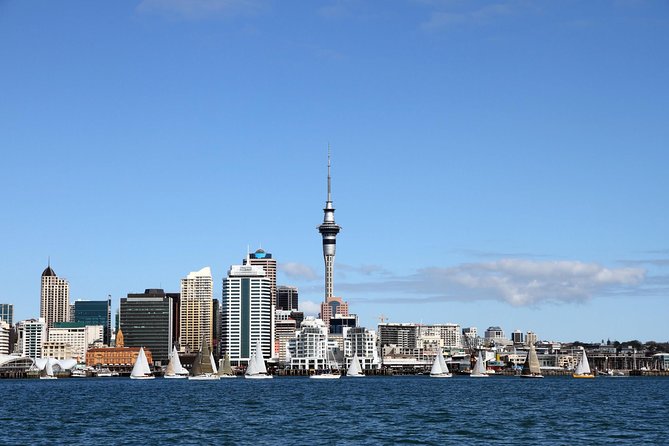 Private Auckland City Tour for Small Group in a Luxury Vehicle. - Tour Overview