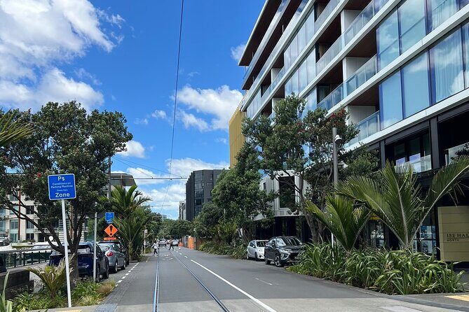 Private Auckland City Tour With Spectacular Harbour Views - The Sum Up