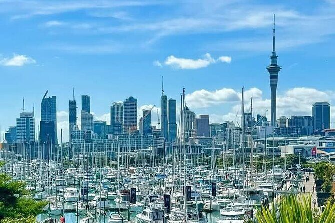 [PRIVATE] Auckland Half Day City Tour - Good To Know