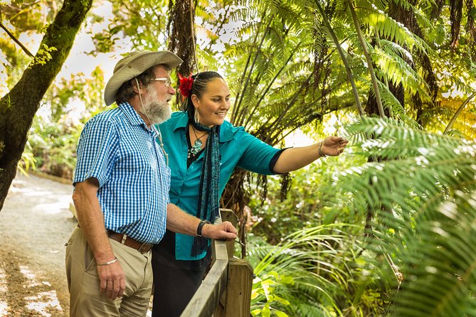 Private Auckland Half Day Tour - Traveler Photos and Reviews