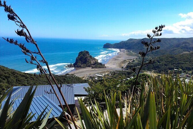 Private Auckland Sightseeing - Full Day/Half Day Hidden Gems Tour - Good To Know