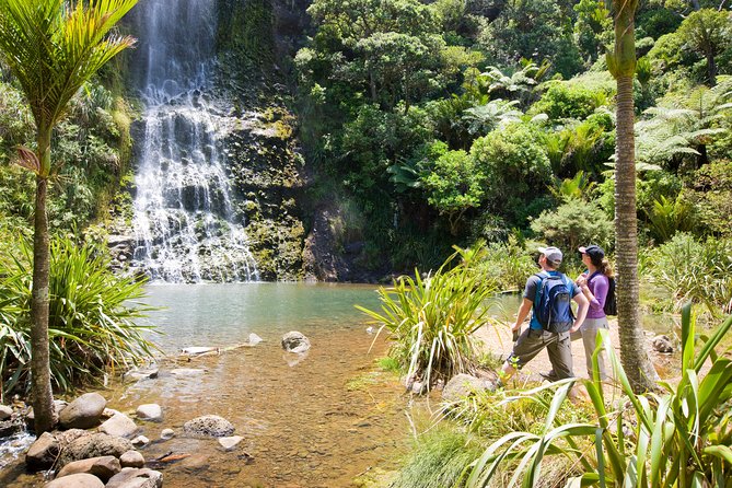 Private Auckland West Coast Day Tour - Tour Operator