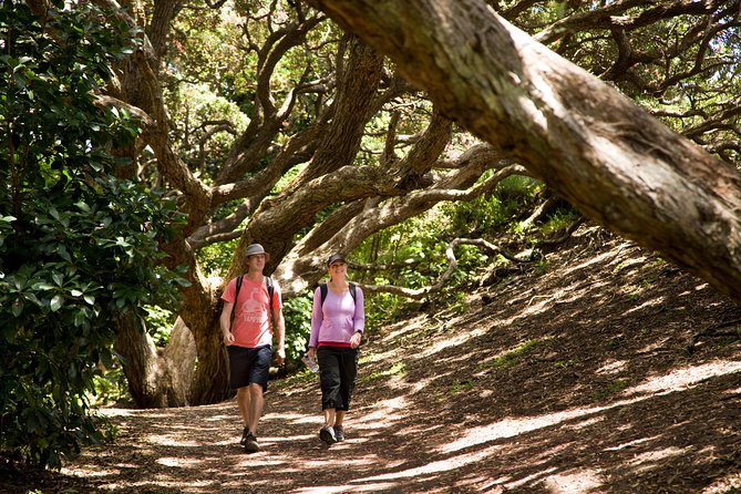 Private Auckland West Coast Day Tour - Cancellation Policy