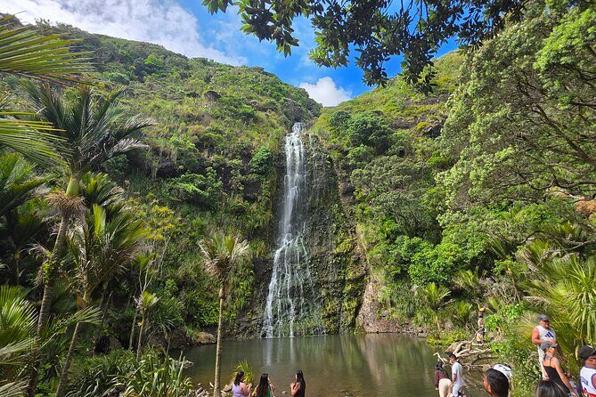 Private Auckland West Coast Karekare Falls, Rainforest and Piha - Exploring Aucklands West Coast: A Balanced Look at the Private Karekare Falls, Rainforest, and Piha Tour