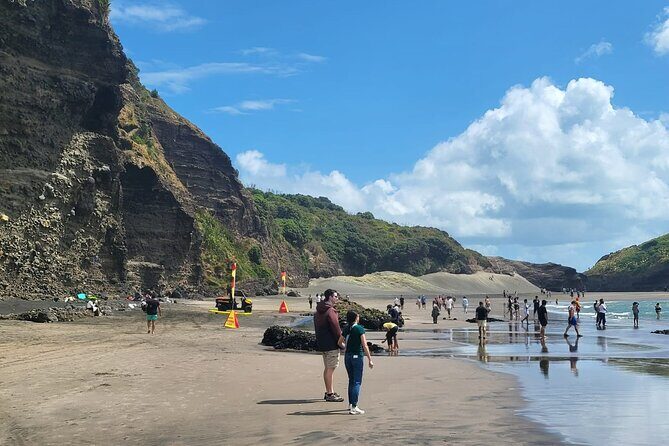 Private Auckland West Coast Tour Piha Beach and Karekare Falls - Stop 2: Karekare Falls