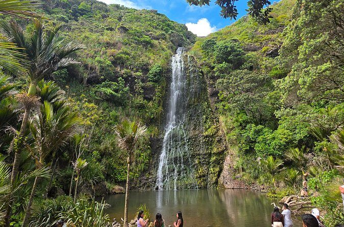 Private Auckland West Coast Tour Piha Beach and Karekare Falls - The Guides and Their Stories