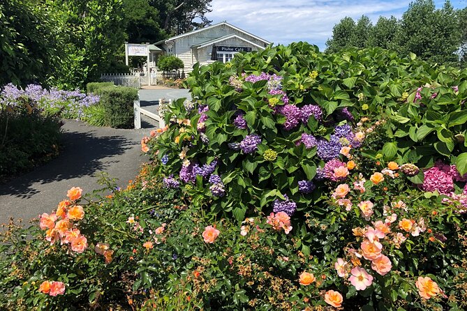 Private Auckland Wine & Dine Matakana Country & Cuisine - Tour Details