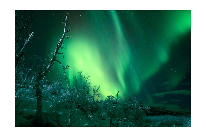 Private Aurora Borealis Tour Kiruna Abisko With Street Food - Tour Details