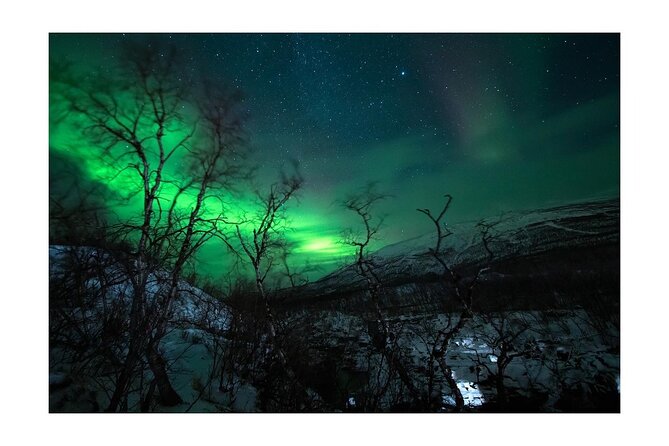 Private Aurora Borealis Tour Kiruna Abisko With Street Food - What to Expect