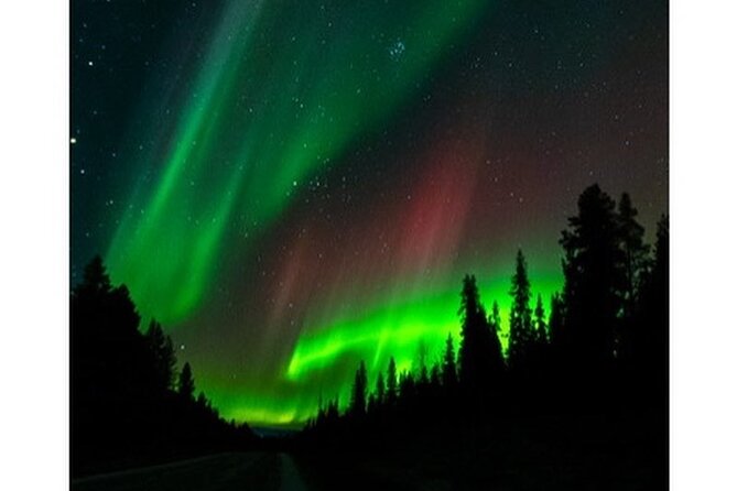 Private Aurora Borealis Tour Kiruna Abisko With Street Food - Booking and Contact Information