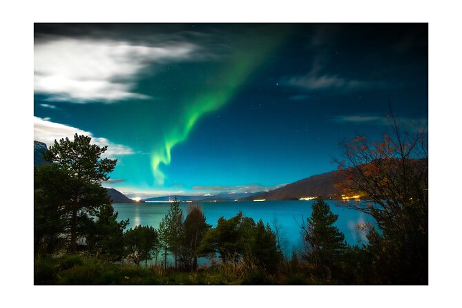 Private Aurora Borealis Tour Kiruna Abisko With Street Food - Pricing and Terms