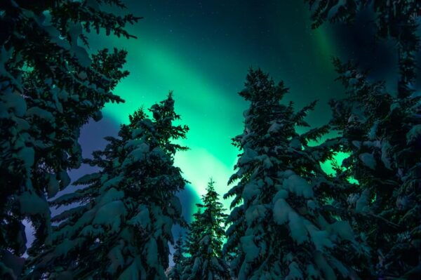 Private Aurora Hunt With Professional Photographers - Booking and Cancellation