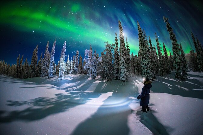 Private Aurora Hunting Through the Forests of Lapland - What Is Aurora Hunting?