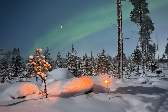 Private Aurora Hunting Through the Forests of Lapland - Lapland: The Perfect Destination for Aurora Hunting