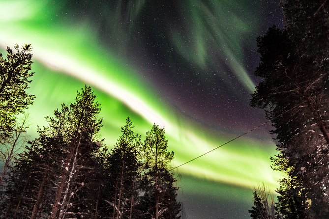 Private Aurora Tour by Lapland Welcome Aurora Experts for 1-4 Persons - Tour Details