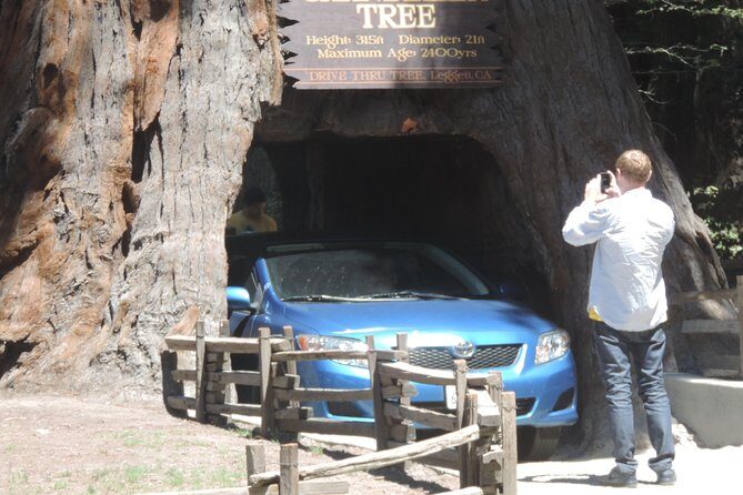 Private Avenue of the Giants Redwoods Day Trip from San Francisco - FAQs